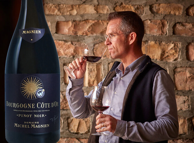 2019 Bourgogne Cte d'Or Pinot Noir, Domaine Michel Magnien
