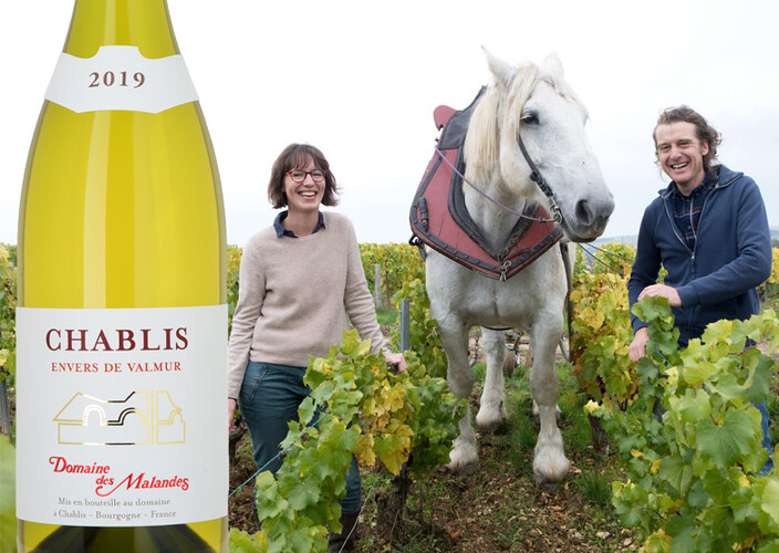 2019 Chablis Envers de Valmur Vieilles Vignes, Domaine des Malandes
