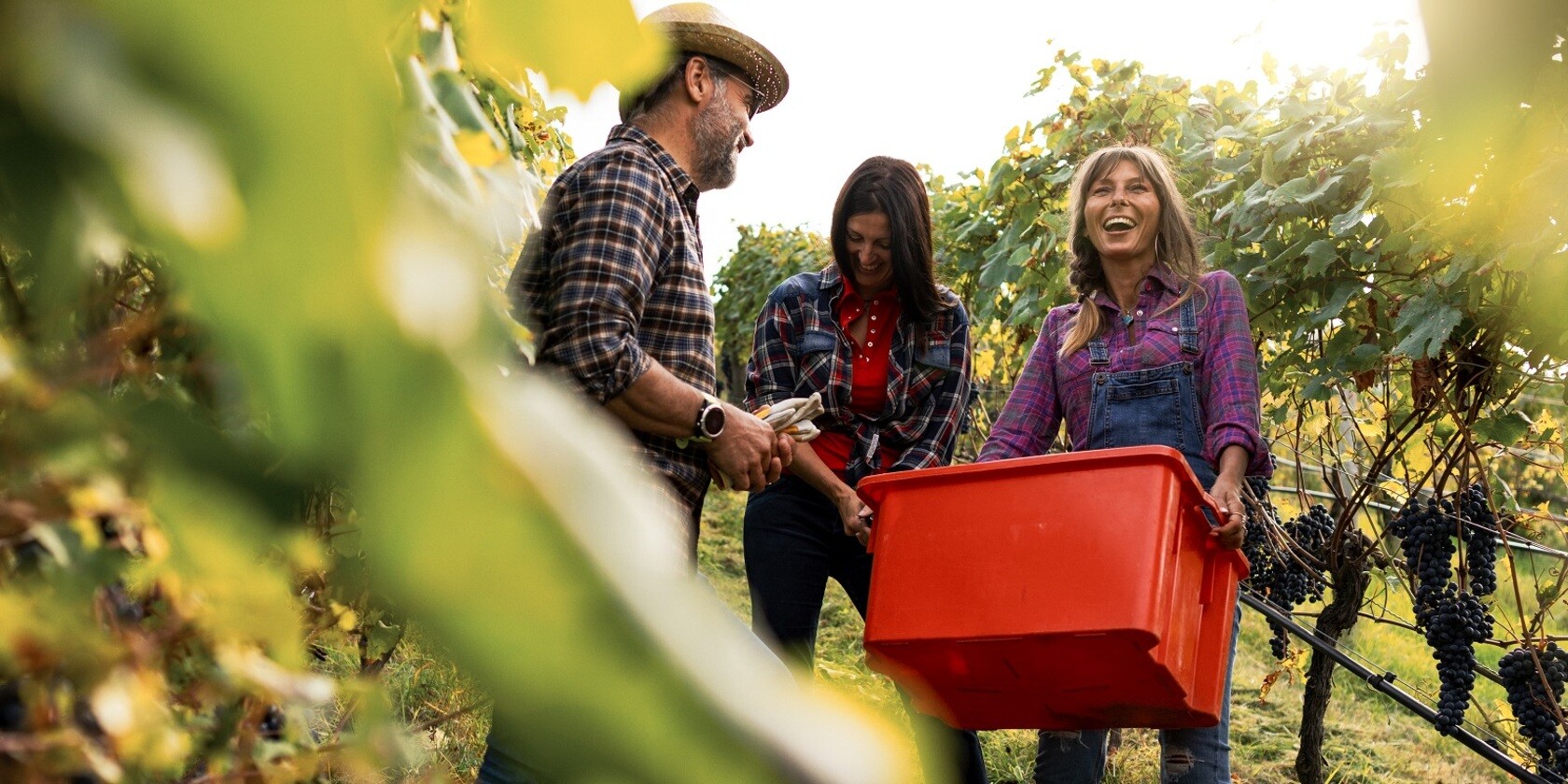 Why choose better wine? Find out more about about our approach to choosing better wine...