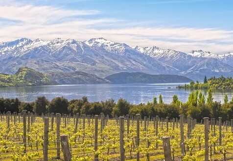 New Zealand: A bright future at 200