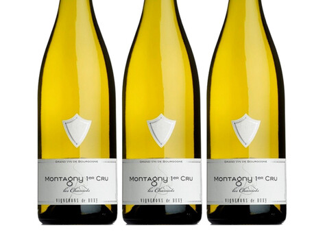 montagny-white-burgundy-bottles