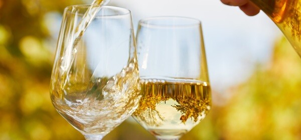 glasses_of_white_wine glasses_of_white_wine