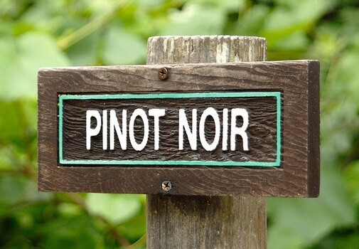 pinot-noir-signpost pinot-noir-signpost