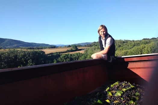 olivier-domaine-d'o olivier-domaine-d'o