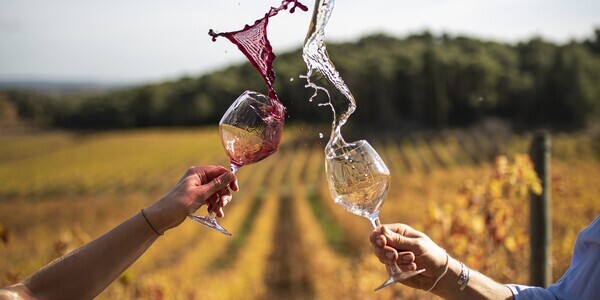 entwined-wine-throwing entwined-wine-throwing