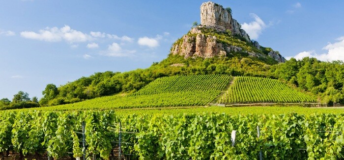 2021 Las Martas Garnacha New vintage launch...