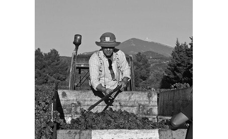 Producer Information - Domaine Le Clos des Cazaux