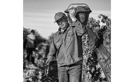 Producer Information - Bodega & Viñedos Otaviano