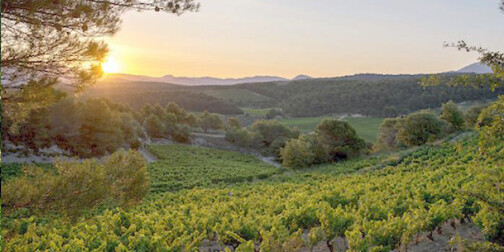 RASTEAU, LIRAC & CTES DU RHNE VILLAGES (SOUTHERN RHNE)