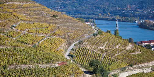 HERMITAGE & CROZES-HERMITAGE (NORTHERN RHNE)