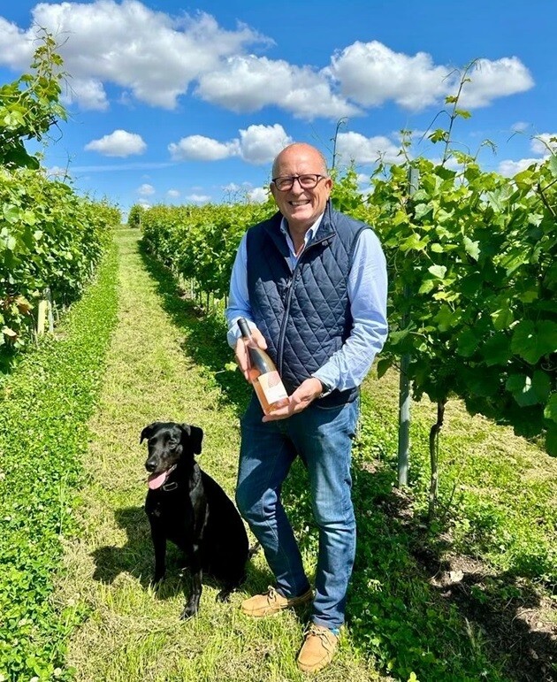 Higham Vineyard, Suffolk