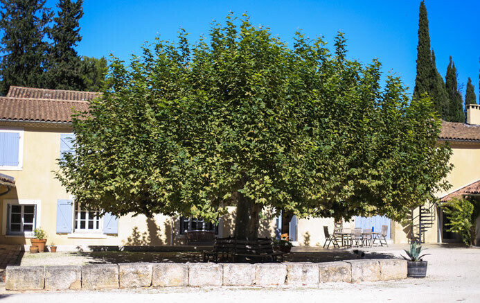 Domaine de la Jasse