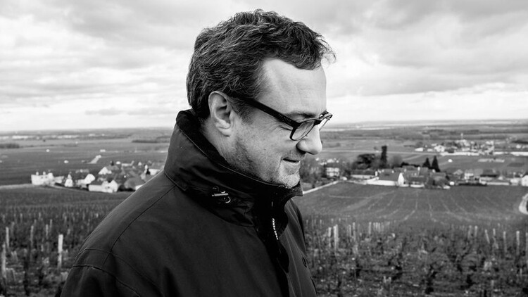 Neal Martin's Top Picks of the 2018 Vintage