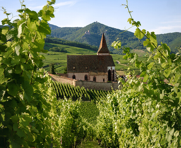 Top Wines of 2022
