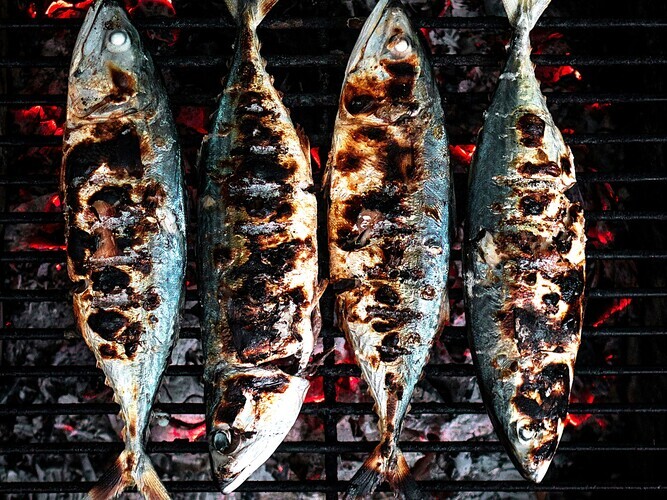 Fish
