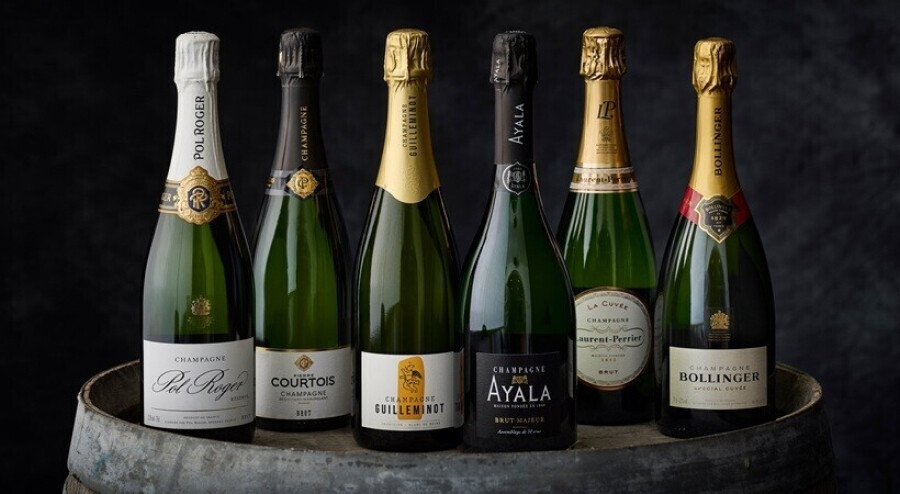 The Art of Choosing Better Wine